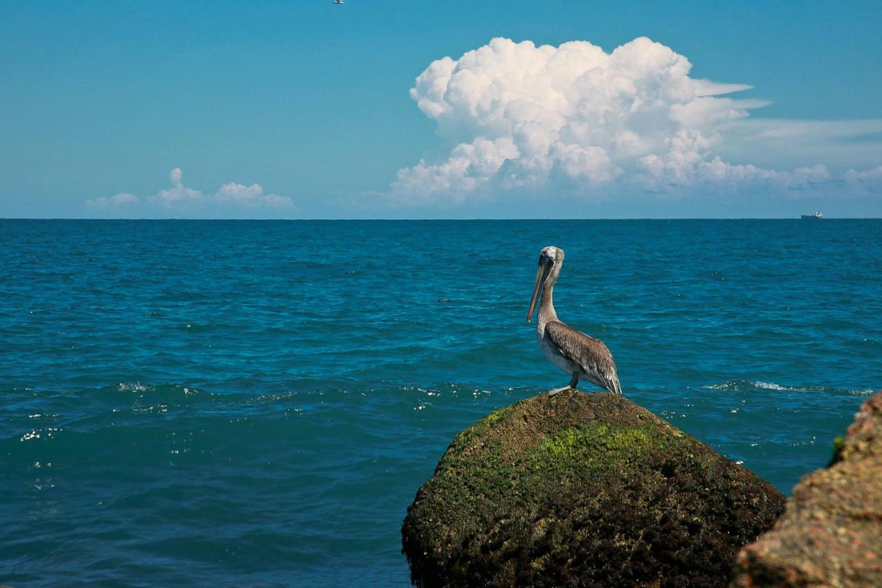 Island Serenity South Padre Island Ngoại thất bức ảnh